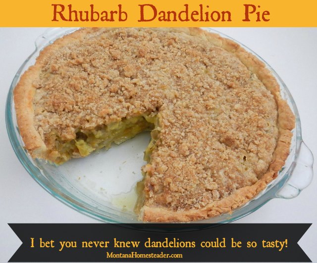 Rhubarb Dandelion pie recipe- I bet you never knew dandelions could be so tasty! |  Montana Homesteader