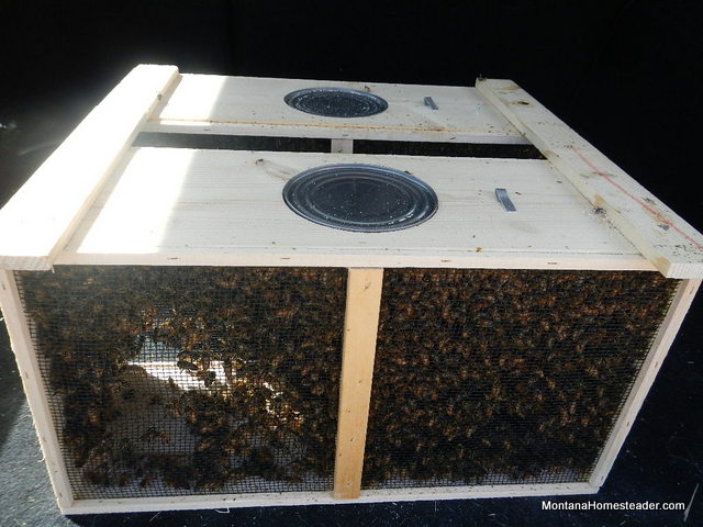 wood screened boxes to transport honey bees and queen bee