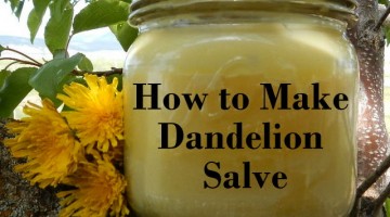 How to make homemade dandelion salve
