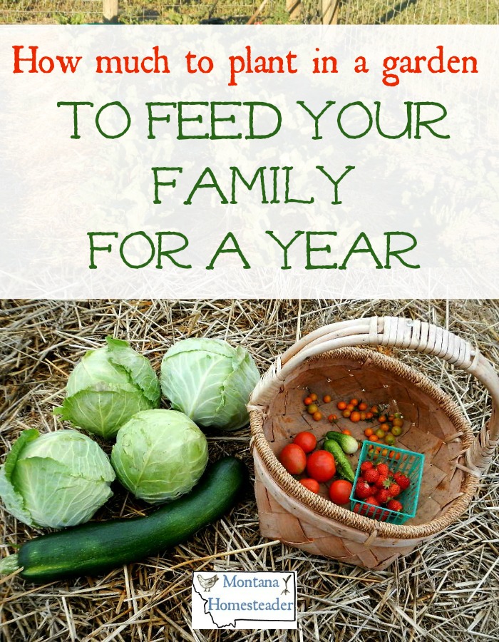 Deciding how much to plant in a garden to feed your family