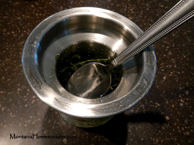 Making herbal infused oil and straining the herbs from the oil when finished Montana Homesteader