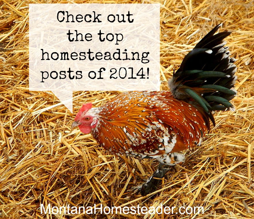 Top homesteading posts of 2014  Montana Homesteader