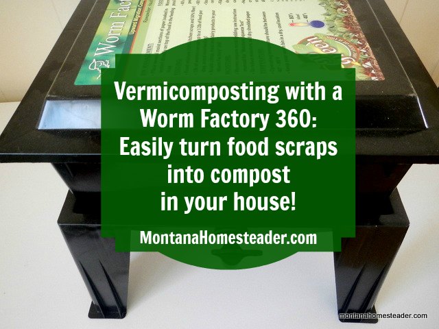 Vermicomposting with a Worm Factory 360 and easily turn food scraps into compost in your house | Montana Homesteader