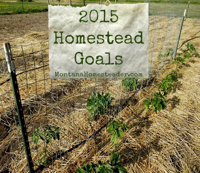 Homestead Goals for 2015 Montana Homesteader