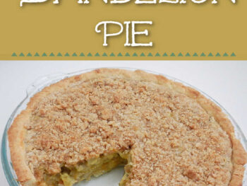 Rhubarb Dandelion pie recipe how to make picture of rhubarb dandelion pie with crumb topping in a glass pie dish with one slice cut out to see custard inside