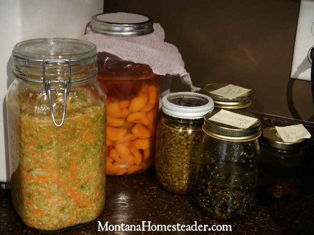Making homemade herb infused oil and fermented foods | Montana Homesteader