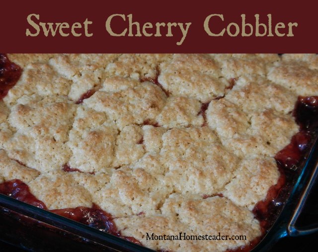 Sweet cherry cobbler recipe using local cherries | Montana Homesteader