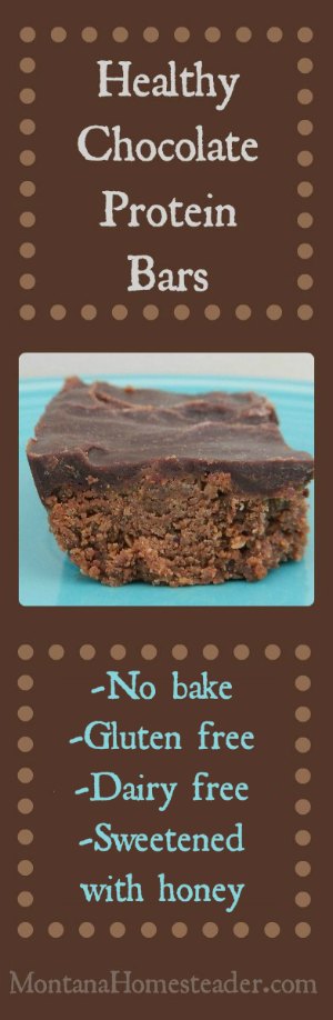 Healthy Chocolate Protein Bars| No bake, gluten-free, dairy-free, sweetened with honey | Montana Homesteader