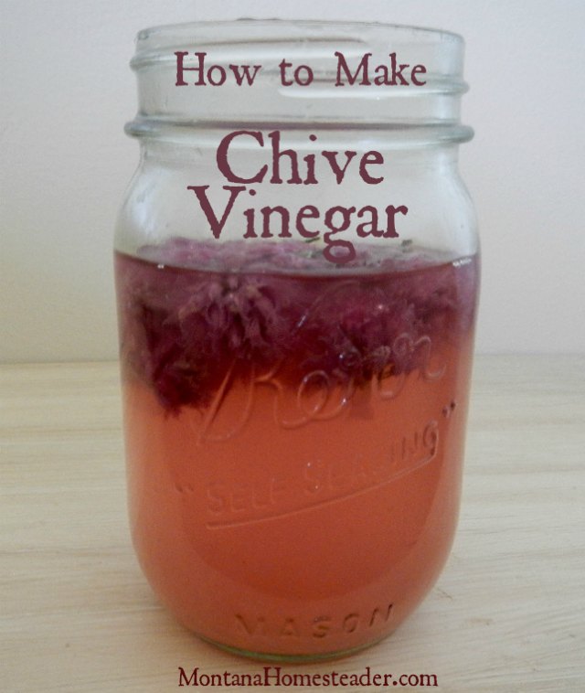 How to make chive vinegar | Montana Hometeader