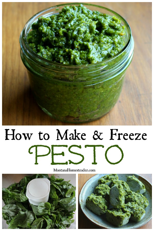 How to make pesto showing a glass jar full of homemade pesto with a picture of basil in a food processor and frozen cubes of pesto