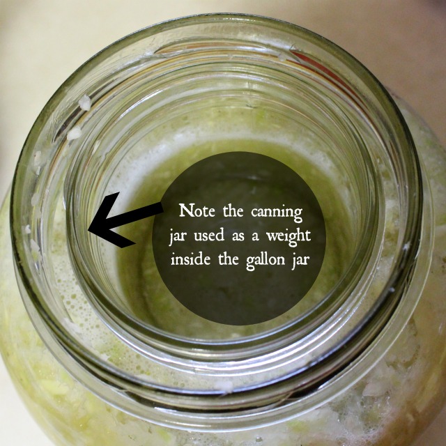 a picture showing a canning jar sitting inside a gallon glass jar as a weight to hold down homemade sauerkraut