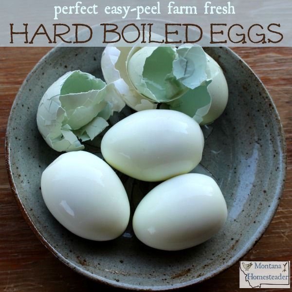 Tips to make easy peel hard boiled steamed farm fresh eggs