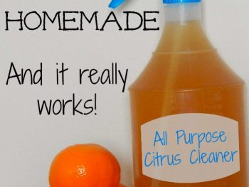 Homemade all purpose citrus cleaner is a cheap and easy DIY project