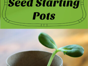 20 free seed starting pots from reused and repurposed items