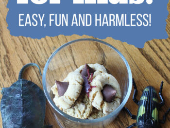 easy fun and harmless pranks for kids bug in cookies and fake poop