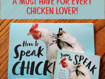 How to speak chicken book and calendar must have for chicken lovers