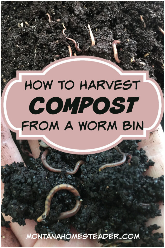 How to harvest compost from a worm bin