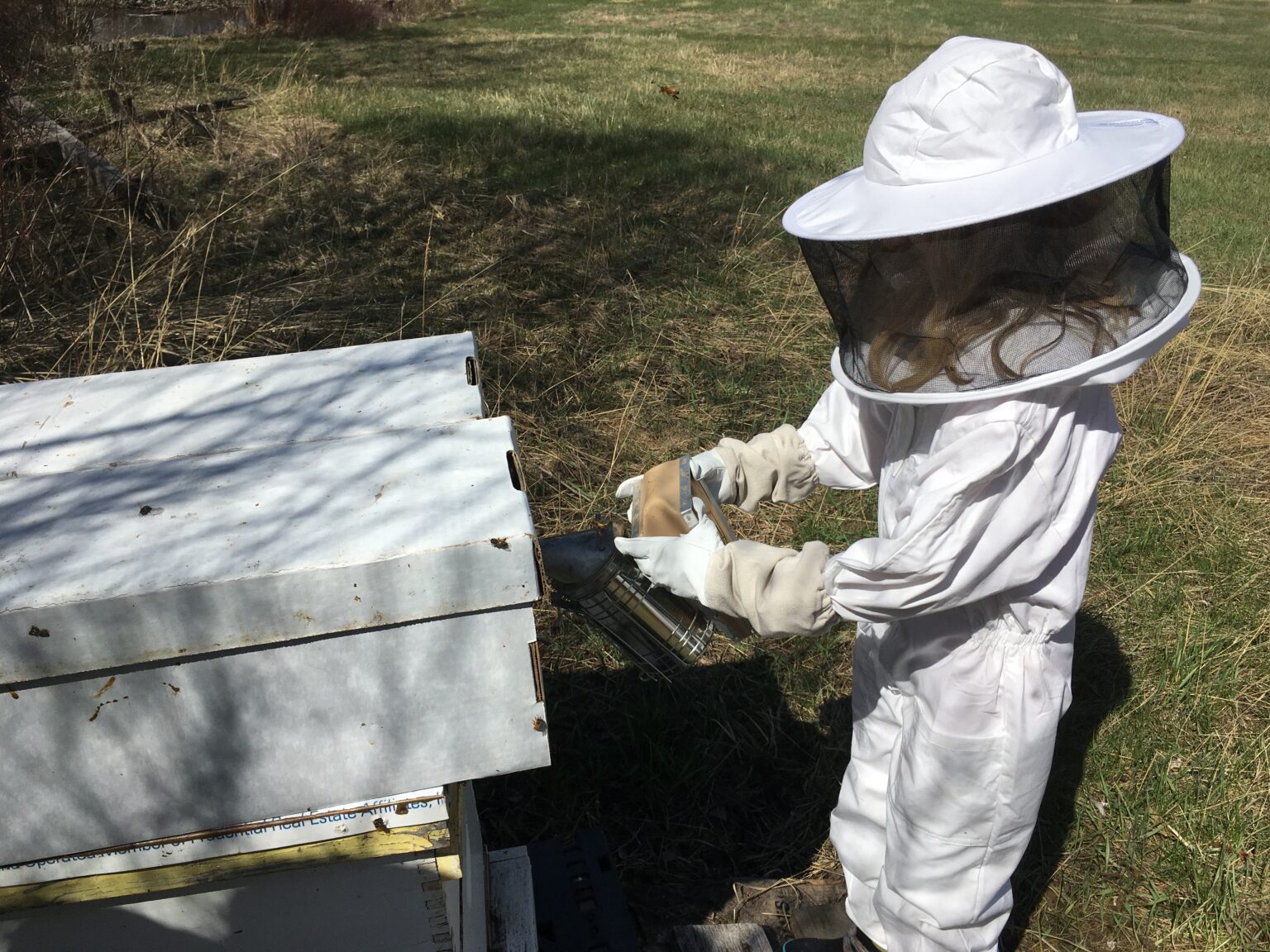 A Beginner’s Guide to Beekeeping Everything You Need to Know to get started