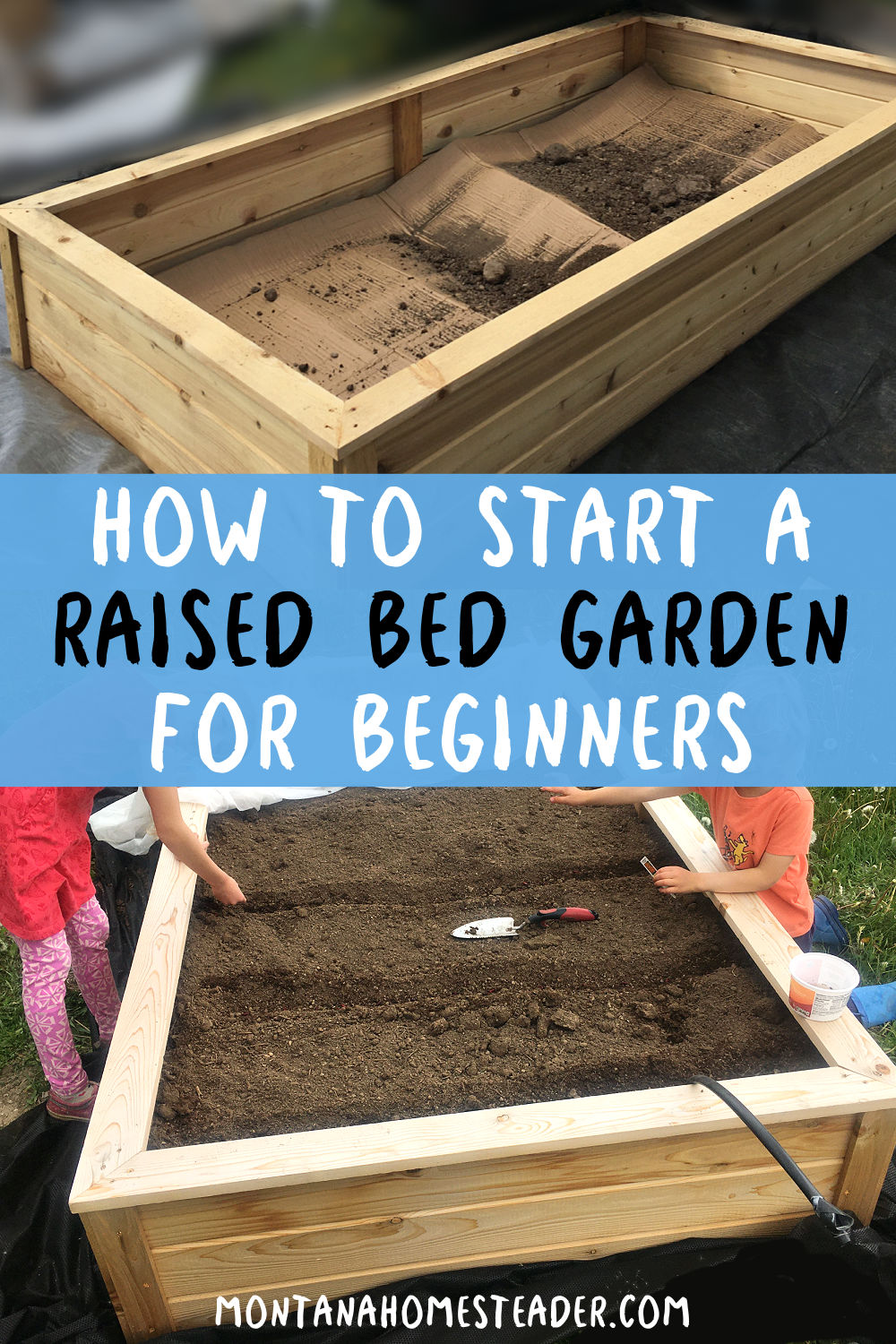 How to start a raised bed vegetable garden for beginners 