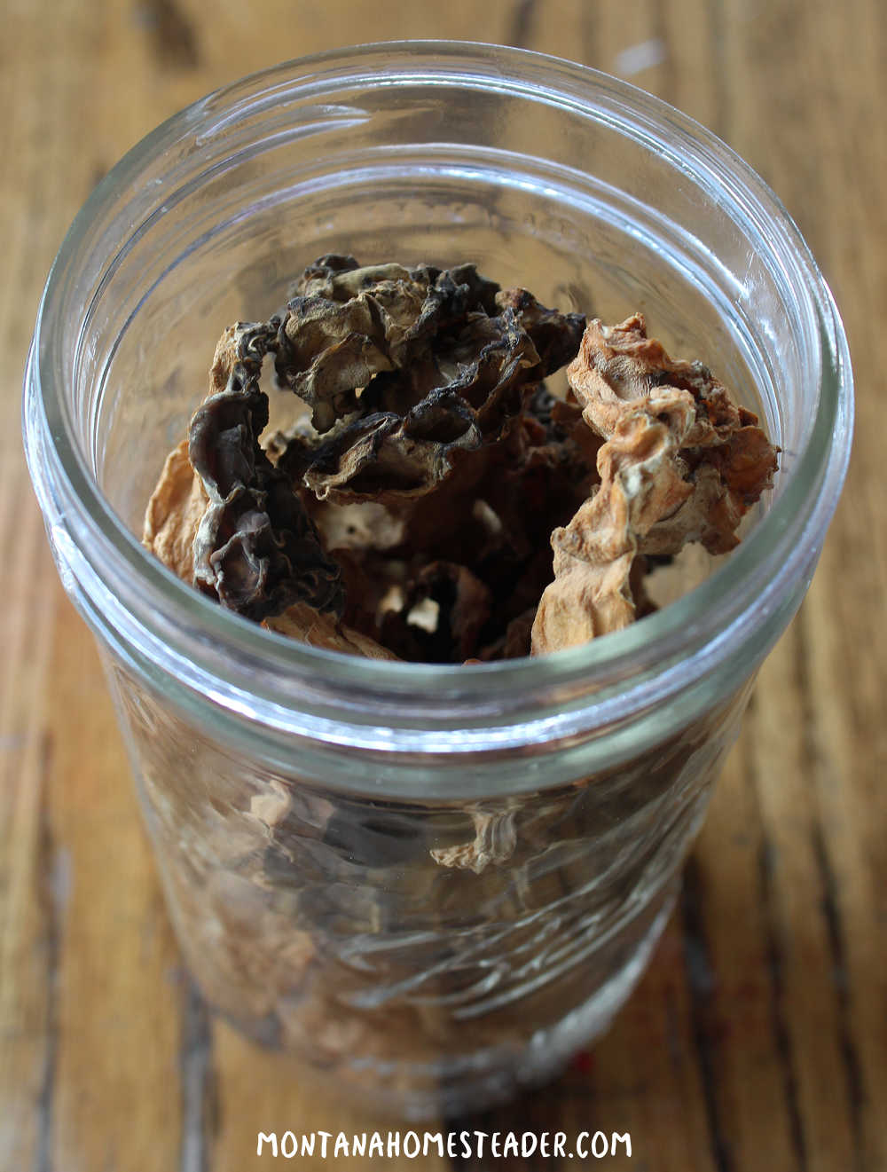 How to preserve morel mushrooms drying morels dehydrating morel mushrooms storing dried morels in a glass canning jar 