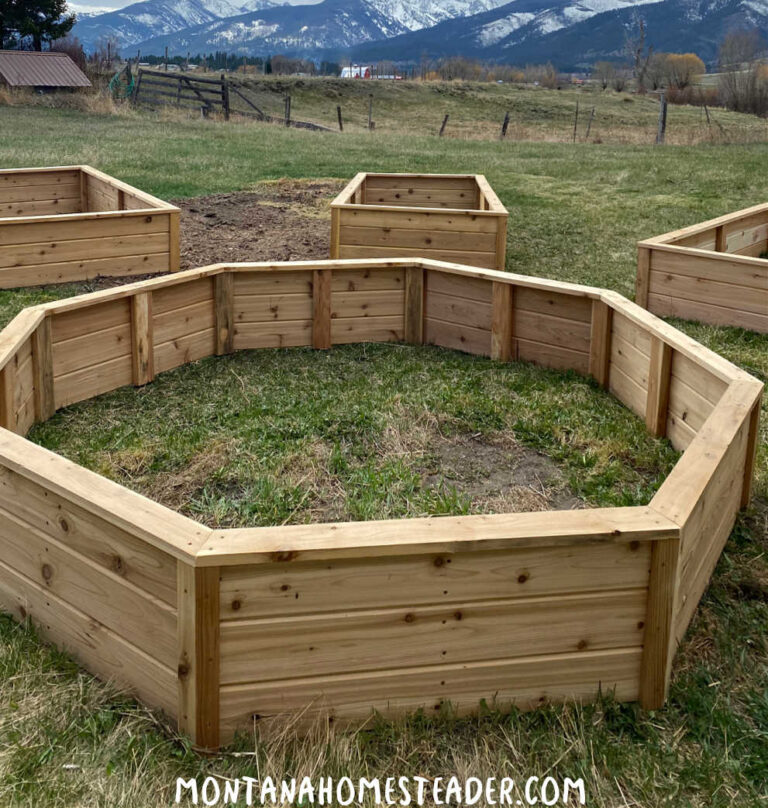 How to Start a Raised Bed Vegetable Garden for Beginners - Montana ...