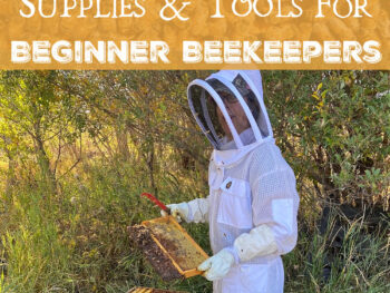 Must have beekeeping supplies tools equipment for beginner beekeepers starting beekeeping