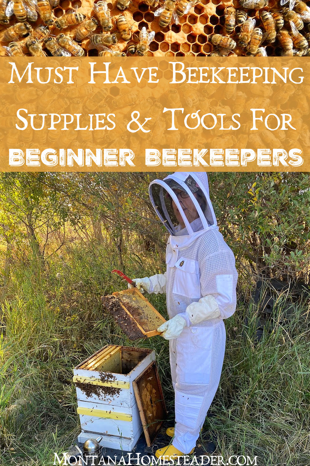 10 Tips for New Beekeepers
