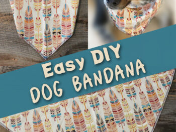 Easy DIY dog bandana how to sew a tie on dog bandana black and white Australian Shepherd mix dog wearing feather print fabric bandana