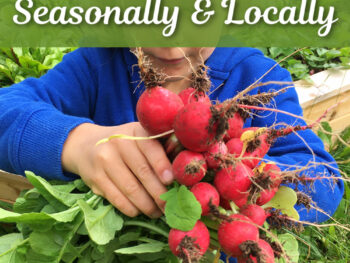 How to eat seasonally and locally how to eat seasonally in winter child holding bunch of radishes in the garden