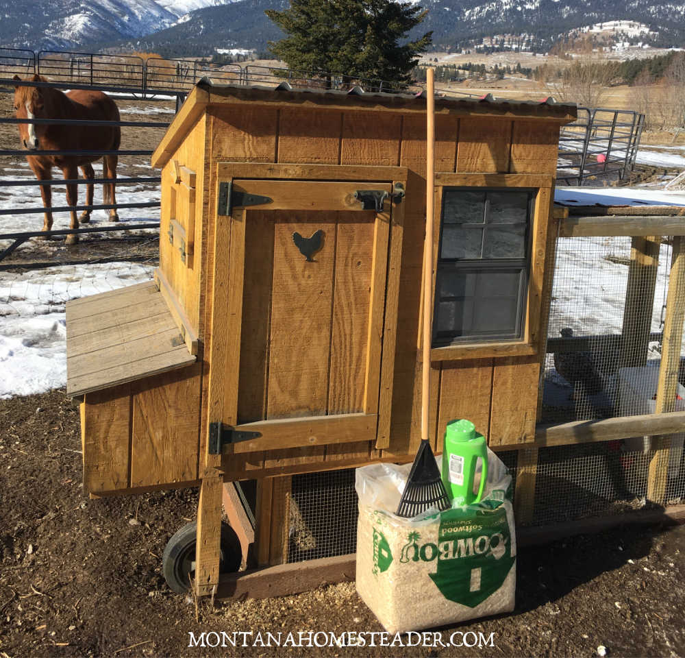 How to raise backyard chickens how to clean a chicken coop wood chicken coop with bag of pine shavings rake and DE shaker horse standing behind watching