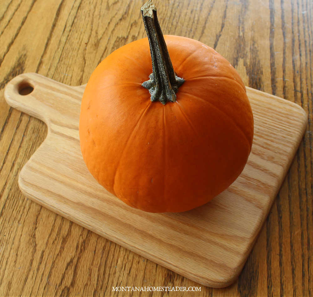 How to store pumpkins in cold storage in winter homegrown orange pumpkin sitting on wood board 8 months after being in cold storage and it looks perfectly fine
