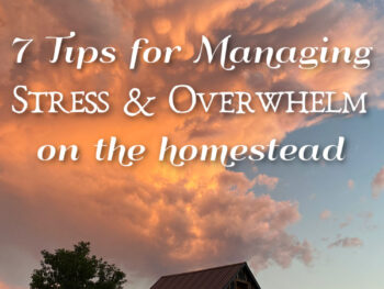 7 tips for how to manage stress and overwhelm on the homestead farm old Montana barn with mountains in background and pink clouds at sunset