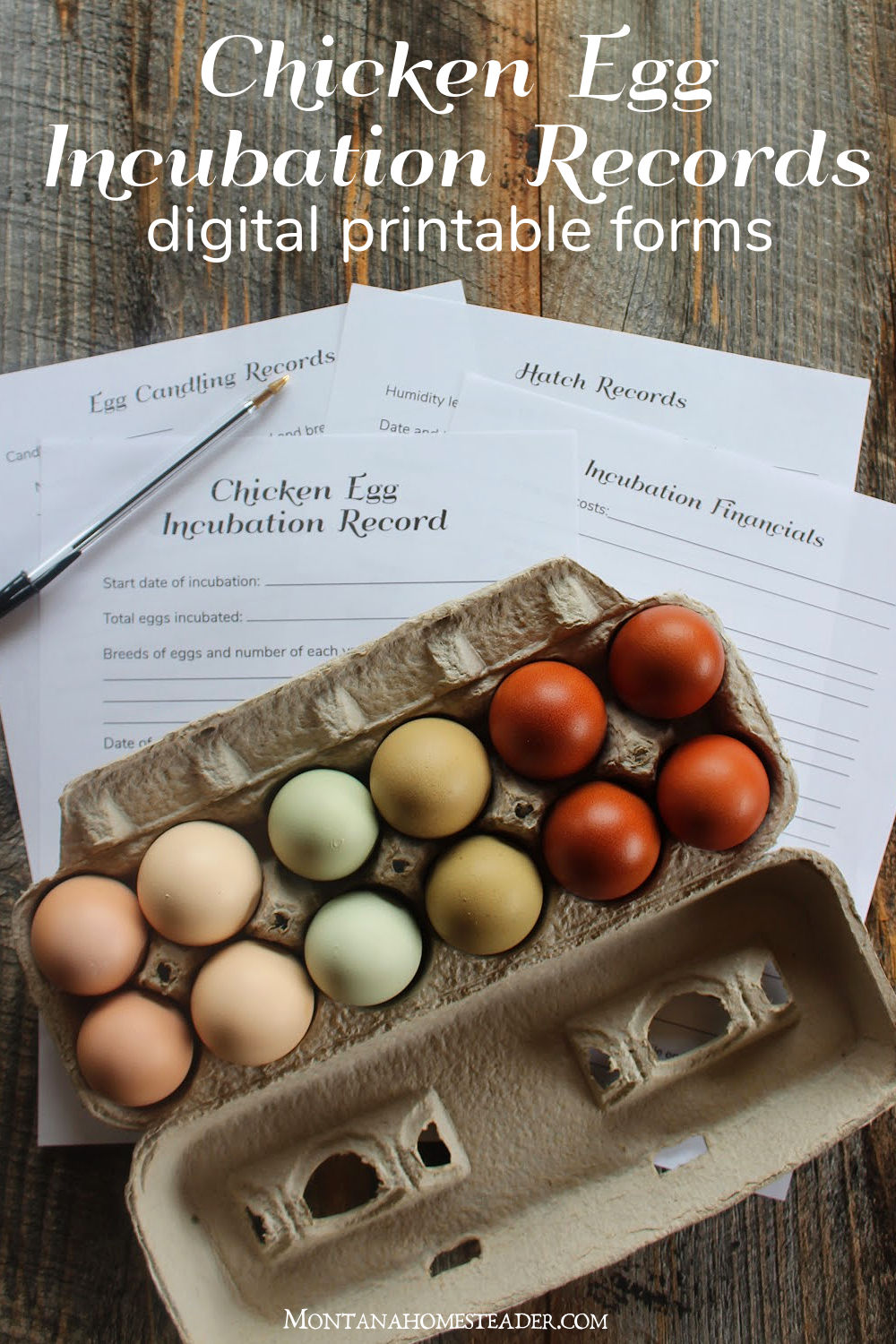 digital printable forms to track chicken egg incubation chick hatching records