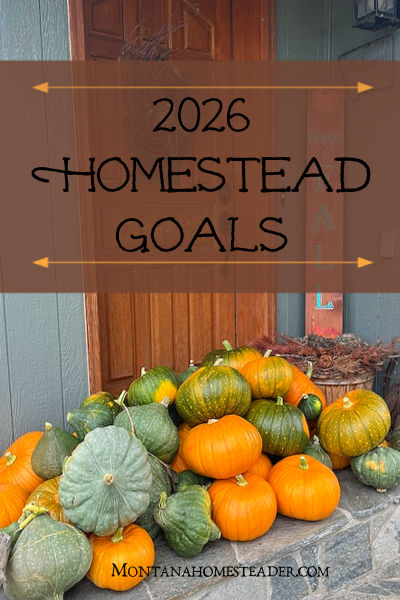 pile of homegrown pumpkins squash 2026 homestead goals